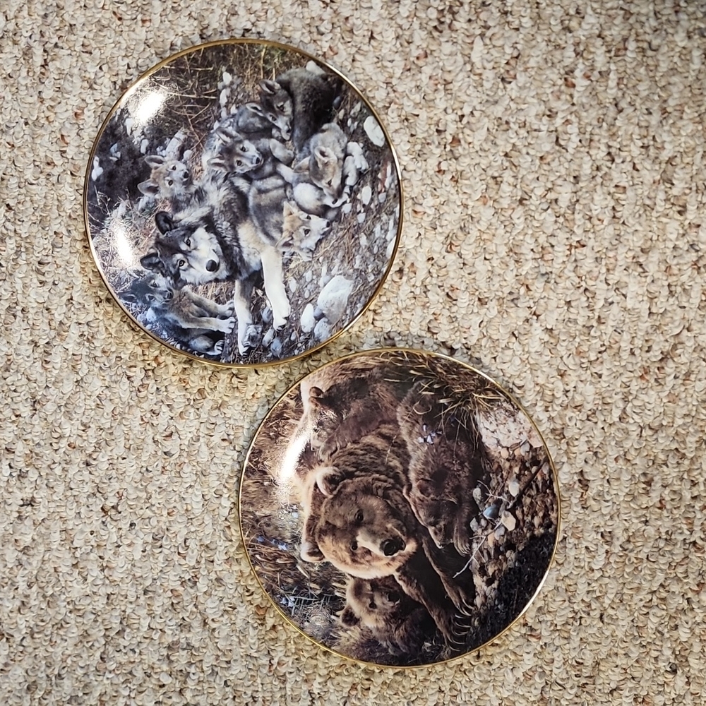 Set of 2 Collectors Plates